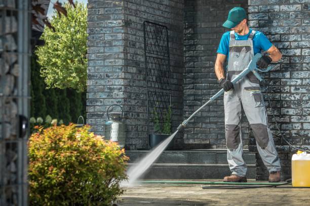 Best Sidewalk and Walkway Cleaning  in Pilot Mountain, NC